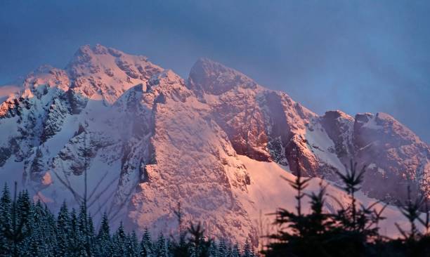 monte washington zen - olympic peninsula foto e immagini stock