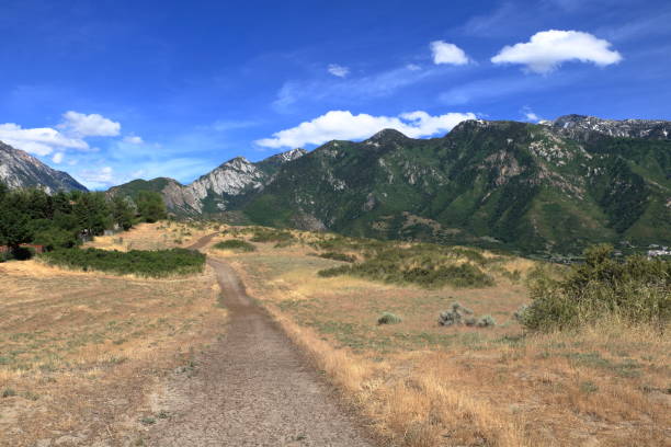istock Utah landscape in Early Summer 1135227430