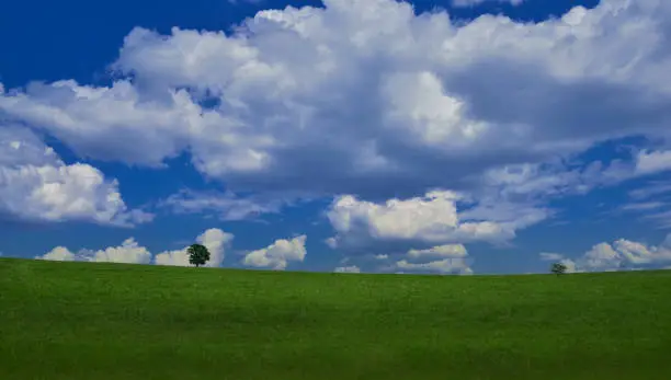 Sky,Clouds,Nature,Tree,Green