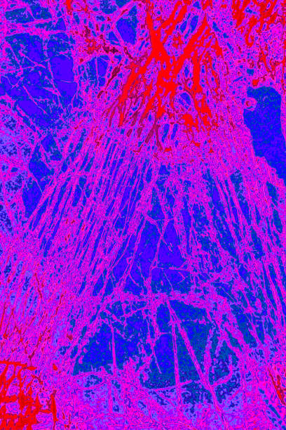 istock Digitally manipulated, abstract micrograph of olivine pyroxenite with polariztion. 1135234100