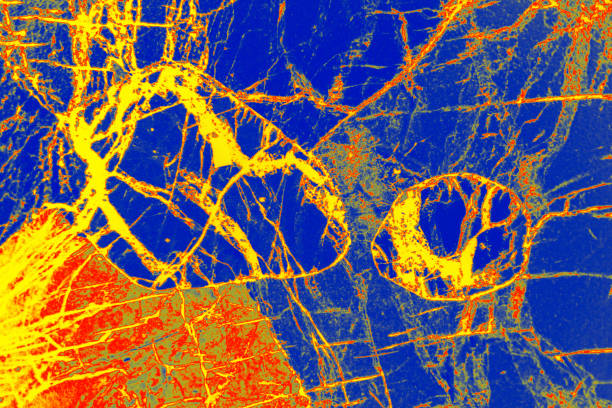 micrographe abstrait, manipulé numériquement, de pyroxénite à olivine avec polarztion. - scientific micrograph science bee abstract photos et images de collection