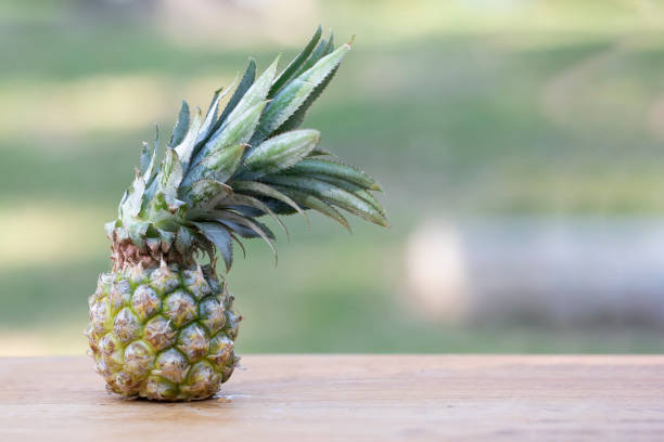istock Pineapple on a natural green background 1135234940