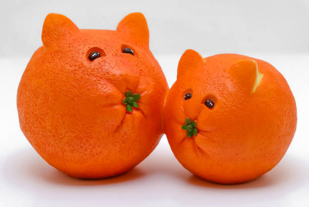 Cats Carved from Oranges A statue of a couple cats carved from Oranges. fruit carving stock pictures, royalty-free photos & images