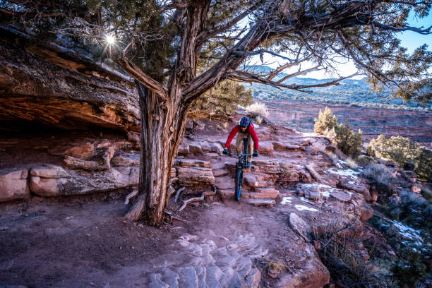 Riding Rocky Steps A man descends a series of rocky steps underneath a Cedar Tree on his mountain bike along the Horsethief Bench trail in the Kokopelli Trail System near Fruita Colorado. fruita colorado stock pictures, royalty-free photos & images