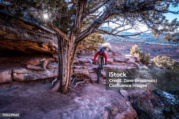 Riding Rocky Steps Stock Photo - Download Image Now - Colorado, Fruita - Colorado, Mountain Biking
