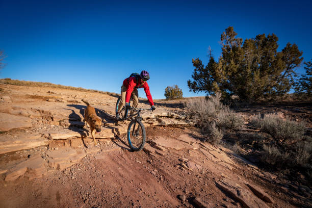 A Mountain Biker and His Dog in the Desert A man on a mountain bike descends a rocky ledge with his dog beside him along the Horsethief Bench trail in the Kokopelli Trail System near Fruita Colorado. fruita colorado stock pictures, royalty-free photos & images