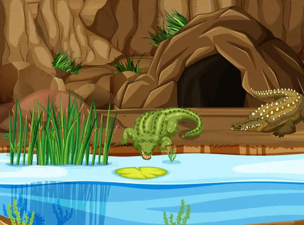 Vector illustration of Crocodile at the swamp