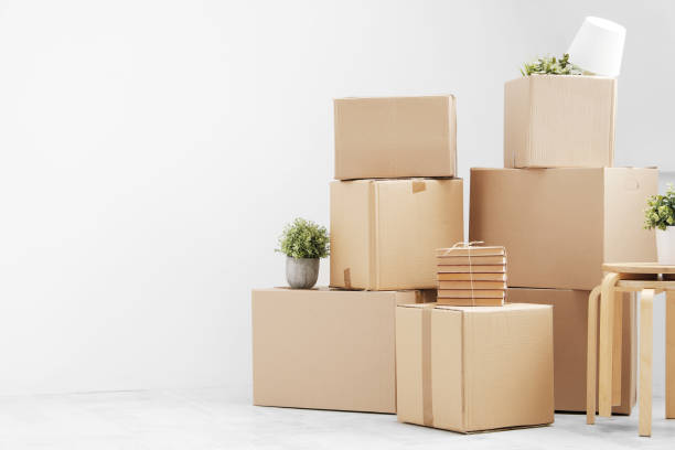 Moving to a new home. Belongings in cardboard boxes, books and green plants in pots stand on the gray floor against the background of a white wall. stock photo