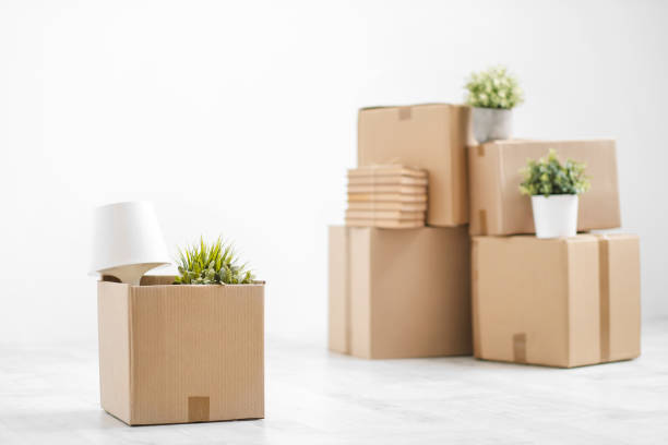 cardboard boxes with things are stacked on the floor against the background of a white wall close up. books and table lamps and green plants in pots. the concept of moving to a new home. - vehicle interior green sofa indoors imagens e fotografias de stock