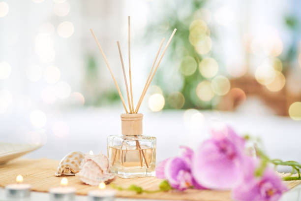 istock Are you ready to relax? 1135250979