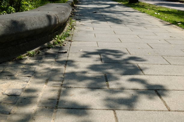 istock Trail in the park. Natural scenery in Asia. 1135252172
