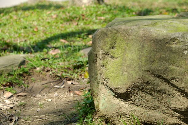 istock Stone in the park. Natural scenery in Asia. 1135252393