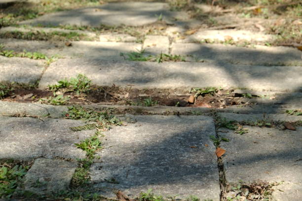 istock Stone in the park. Natural scenery in Asia. 1135252446