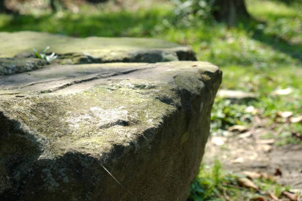 istock Stone in the park. Natural scenery in Asia. 1135252544