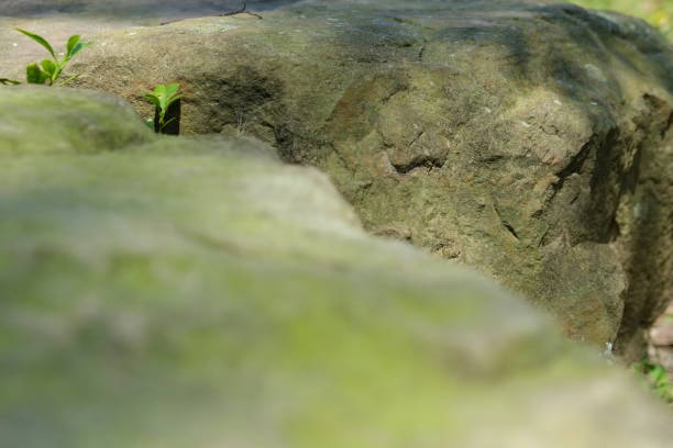 istock Stone in the park. Natural scenery in Asia. 1135252581