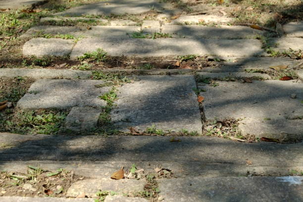 istock Stone in the park. Natural scenery in Asia. 1135252602