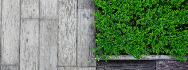 istock close up of wooden texture 1135254994