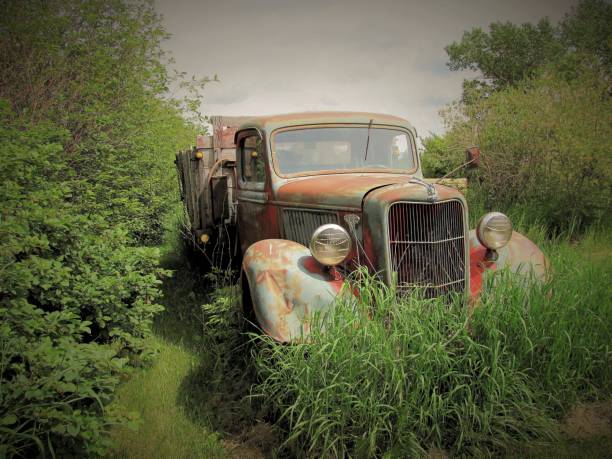 An old car slowly rusts away under a blanket of growing moss