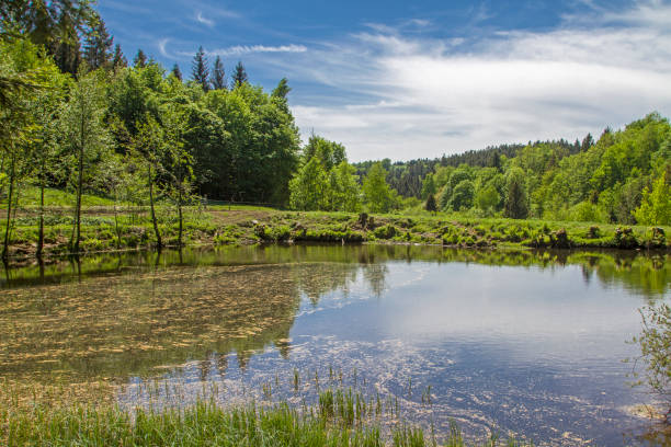 istock In Grafling valley in Bavaria 1135264655