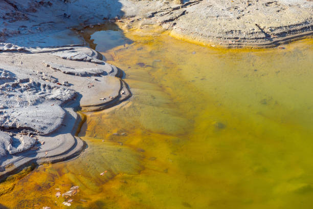 istock Waste lake with contaminated water 1135267586