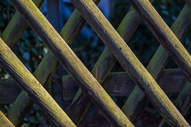 Wooden fence, Background