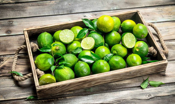 istock Fresh green limes with leaves on a tray. 1135270334