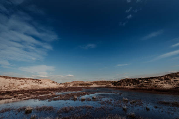 Coast Landscape Island of Amrum, Schleswig-Holstein, Germany