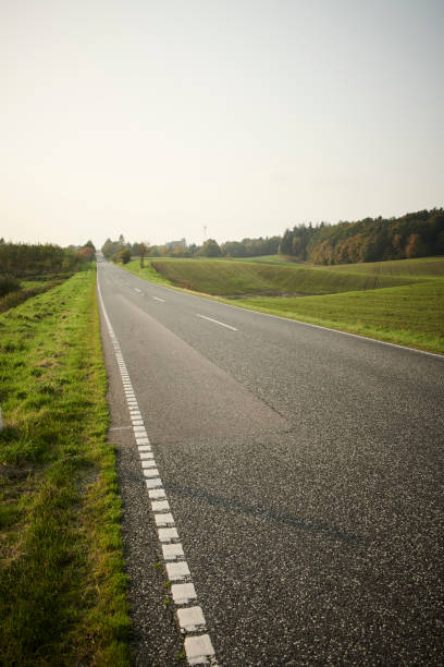 istock Landscape with green fields and a long road 1135276178