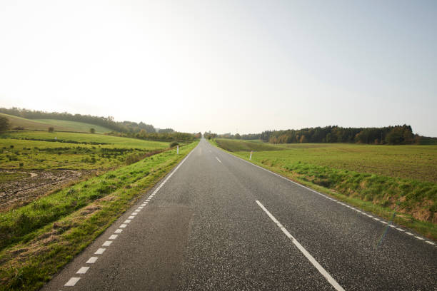 istock Landscape with green fields and a long road 1135276261