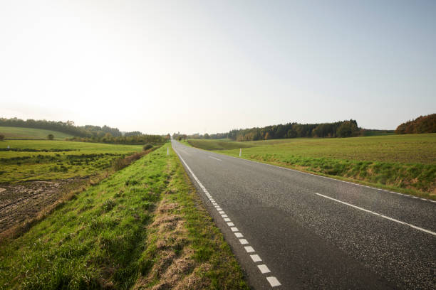 istock Landscape with green fields and a long road 1135276654