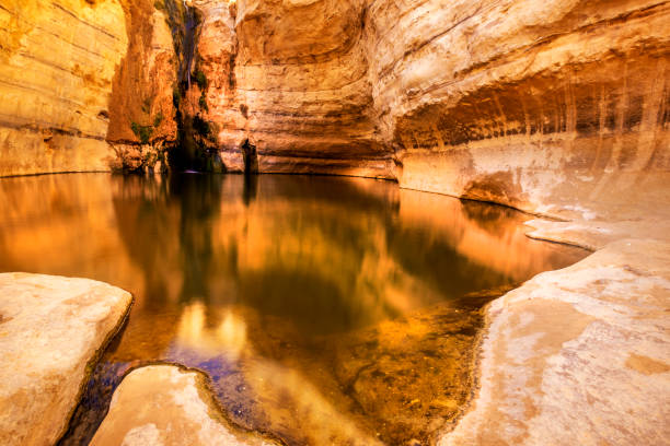 istock An Ovdat nature reserve, Israel 1135278886
