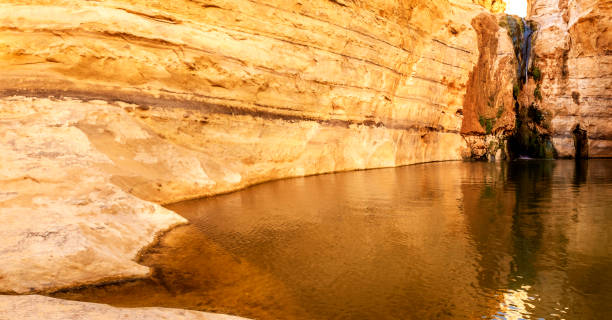 istock An Ovdat nature reserve, Israel 1135278909