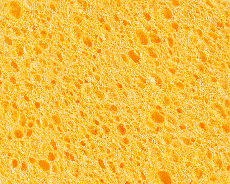 Surface of yellow sponge, closeup