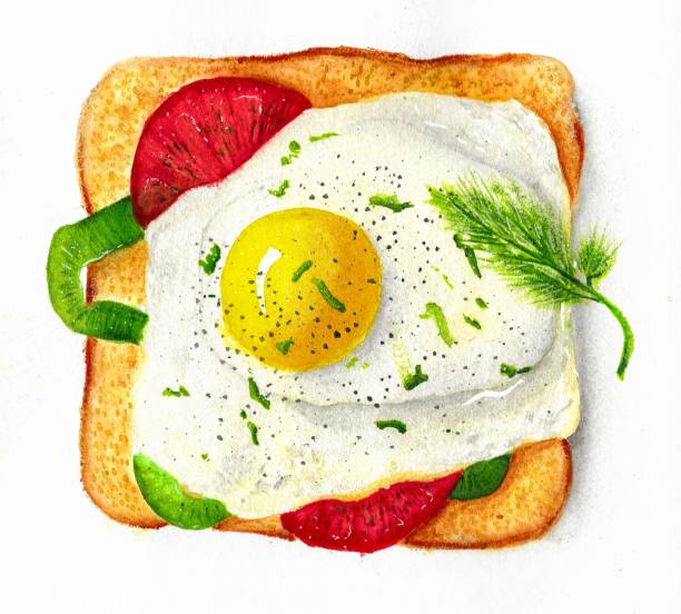 обжаренные яйца на тосте с овощами - fried egg lettuce vegetable lunch stock illustrations