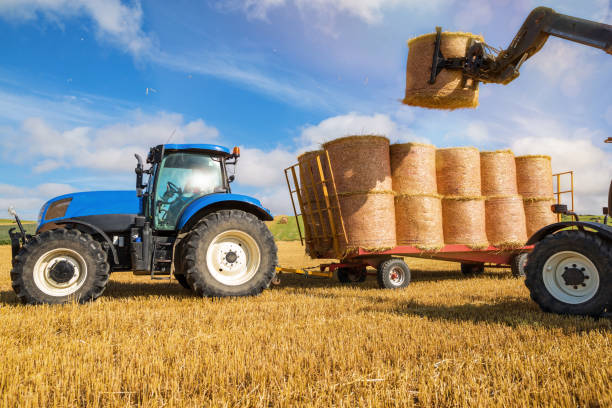 istock Harvesting Straw millstones 1135280858