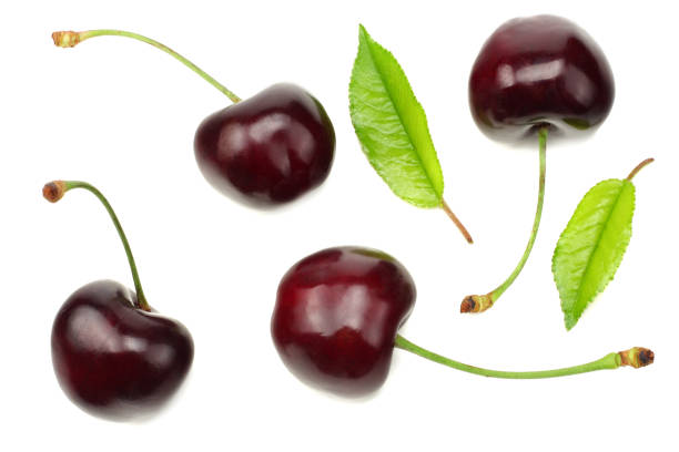 istock cherry with green leaf isolated on white background. Top view 1135284312