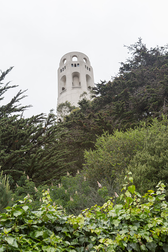 historical coit tower at san francisco california usa america