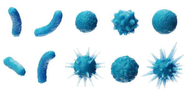 추상적인 배경 바이러스. 바이러스의 집합입니다. 바이러스 아이콘을 설정 합니다. 흰색 배경에 고립 된 바이러스. 다채로운 박테리아, 세균 곰 팡이. 살아있는 유기 체에 해를 입힐 수 있는 병� - 분자 일러스트 뉴스 사진 이미지