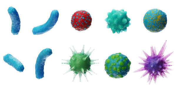 abstraktes hintergrundvirus. virus-set. virus-symbol gesetzt. virus isoliert auf weißem hintergrund. bunte bakterien, mikroben pilze. pathogene viren, die einem lebenden organismus schaden. 3d-illustration - krankheitserreger stock-fotos und bilder