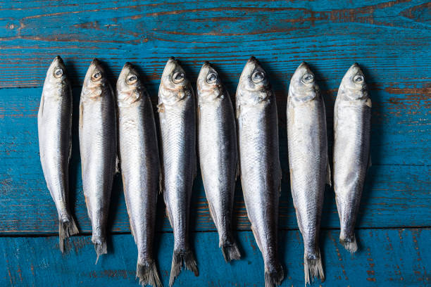 istock Fish pattern. Herring fish on an old blue wooden background. 1135287871