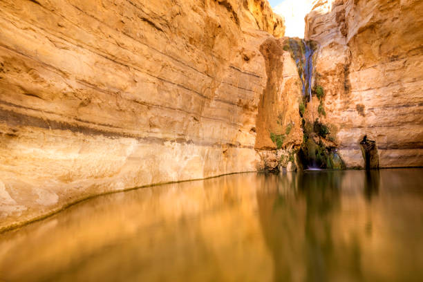istock An Ovdat nature reserve, Israel 1135289315
