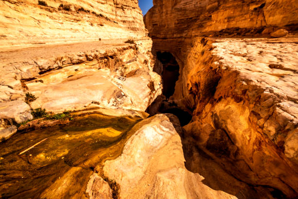 istock An Ovdat nature reserve, Israel 1135290441