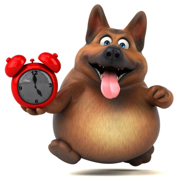 istock Fun german shepherd dog - 3D Illustration 1135290477