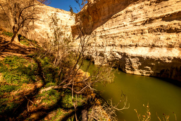 istock An Ovdat nature reserve, Israel 1135290520