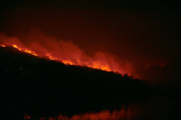 istock wildfire disaster - fire burning mountain in night time 1135294392