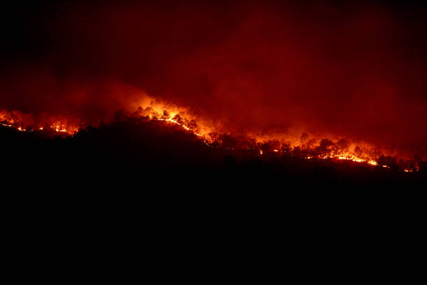 wildfire disaster - fire burning mountain in night time stock photo
