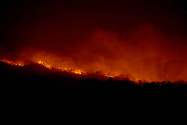 wildfire disaster - fire burning mountain in night time