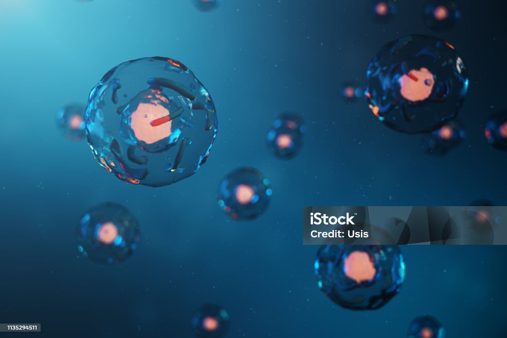 Human cells or animal. Cell colony. Concept of science and medicine, the regeneration of cells, the renewal of cells in the living organism. 3D illustration Artificial Stock Photo