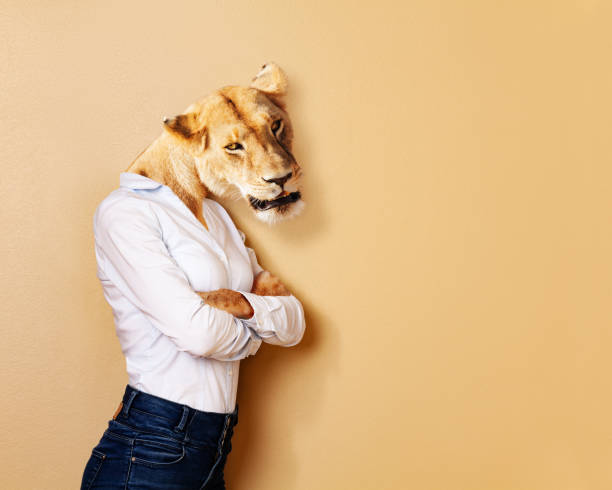 istock Lion head woman office worker concept portrait 1135295707