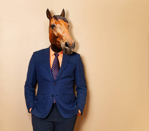 Male horse in office clothing suit and shirt Concept of hard working in office clothing suit and shirt - business man, mixed media animal head man stock pictures, royalty-free photos & images